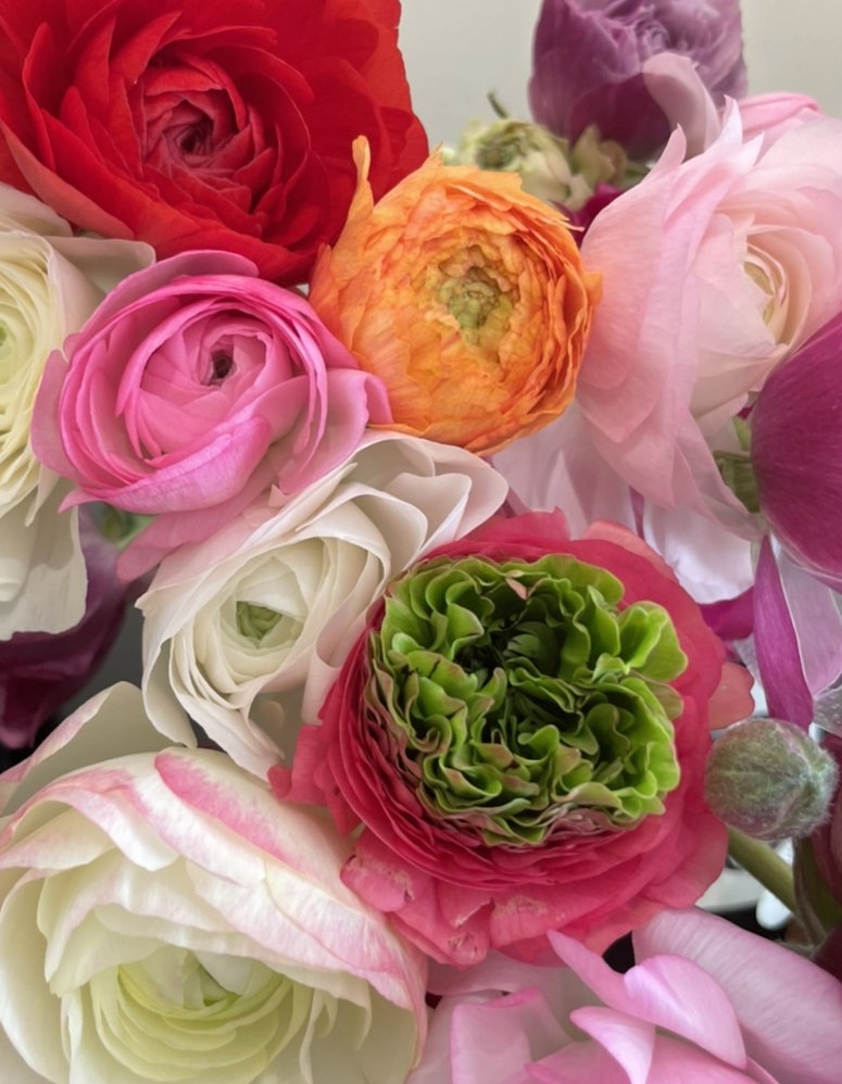Flower Market 花市場